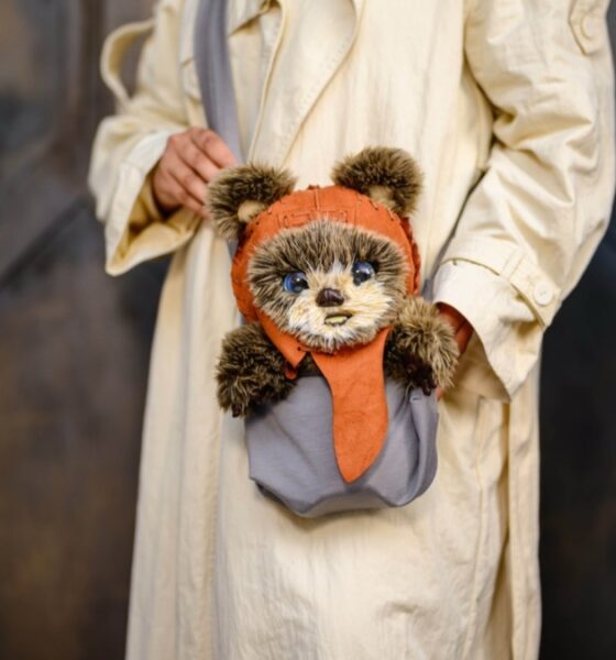 EWOK INTERACTIVO LLEGA A DISNEY. Foto - Archivo Disney