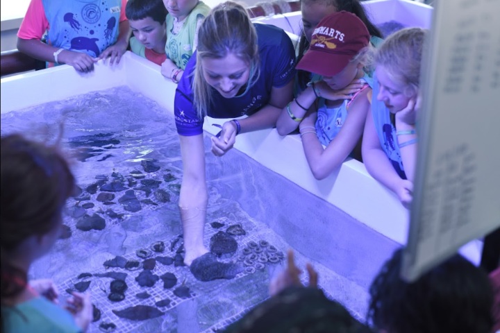 EXTRA. Coral Lab del Star Camp. Foto - Archivo Iberostar Beachfront Resorts