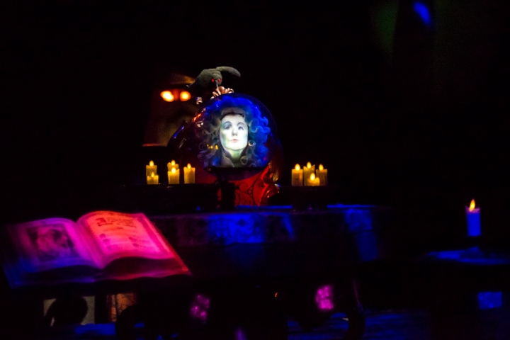 EXTRA. Madam Leota. Foto - Disney Photoblography