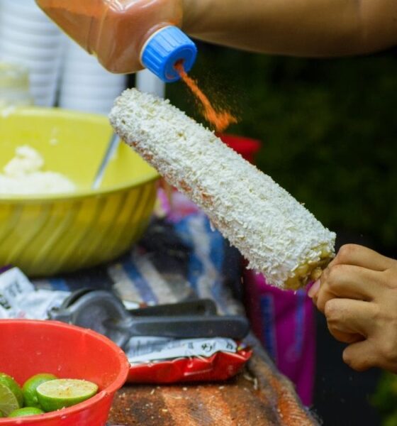 FERIA DEL ELOTE DE COCOTITLÁN 2026. Foto - Sandor Mejias Brito