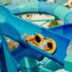 NORWEGIAN CRUISE LINE ANUNCIA EL GREAT TIDES WATERPARK. Foto - Norwegian Cruise Line