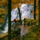 PARQUE NACIONAL PARA DISFRUTAR DEL OTOÑO. Foto - Photo Gallery