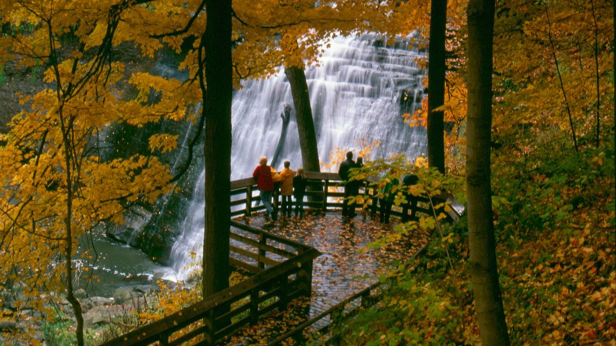 PARQUE NACIONAL PARA DISFRUTAR DEL OTOÑO. Foto - Photo Gallery