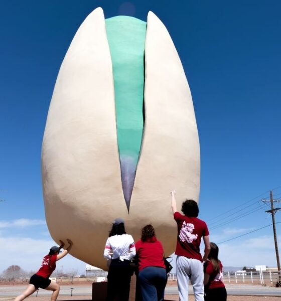 PISTACHIOLAND. Foto - The Lobo Life