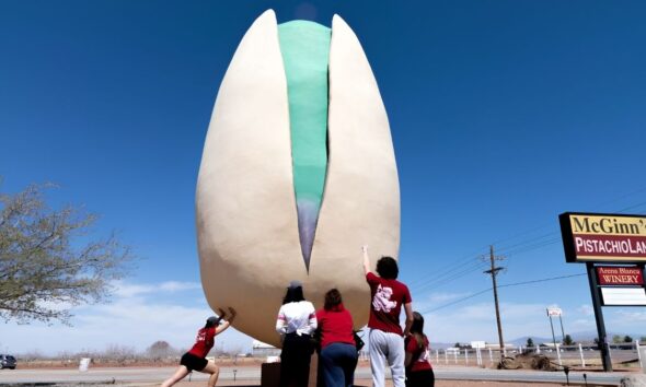 PISTACHIOLAND. Foto - The Lobo Life