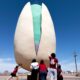 PISTACHIOLAND. Foto - The Lobo Life