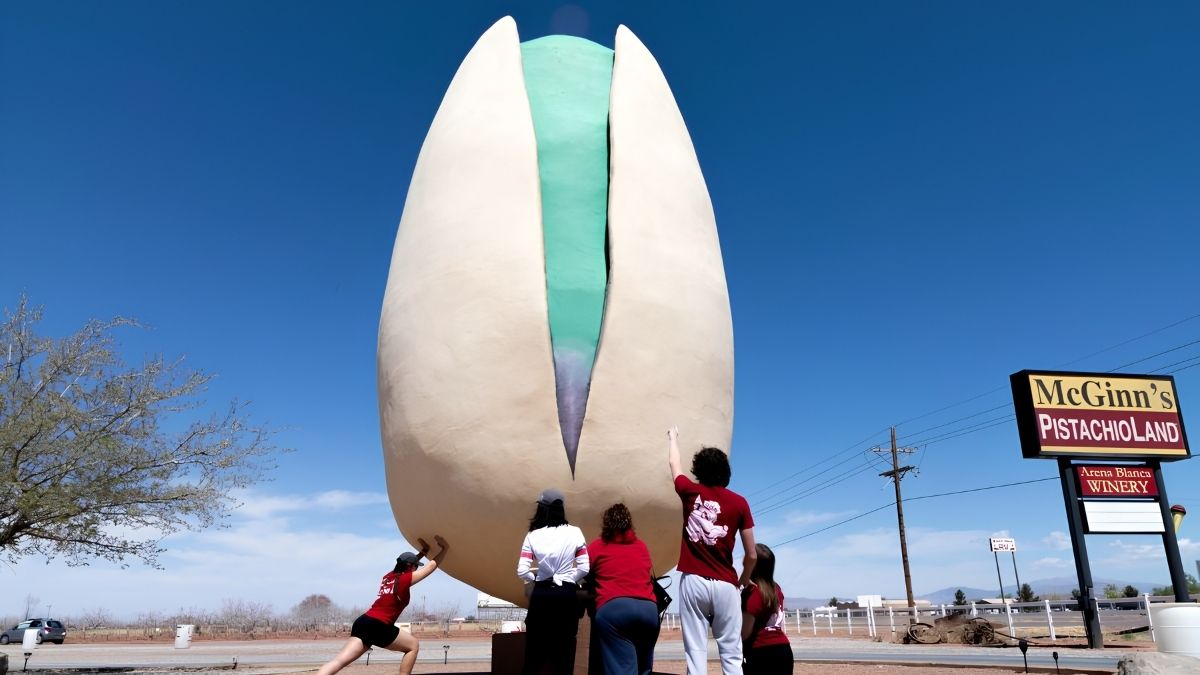 PISTACHIOLAND. Foto - The Lobo Life