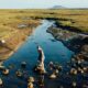 QUE HACER EN SAN QUINTÍN. Foto - Baja California (Expedia)
