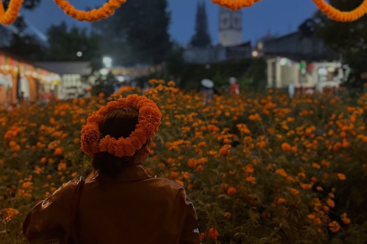 2. Jardín de cempasúchil en San Pablo Coapan. Foto - @lu.salaas (Instagram)