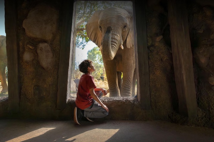2. Niño en San Diego Zoo Safari Park. Foto - San Diego Zoo Safari Park