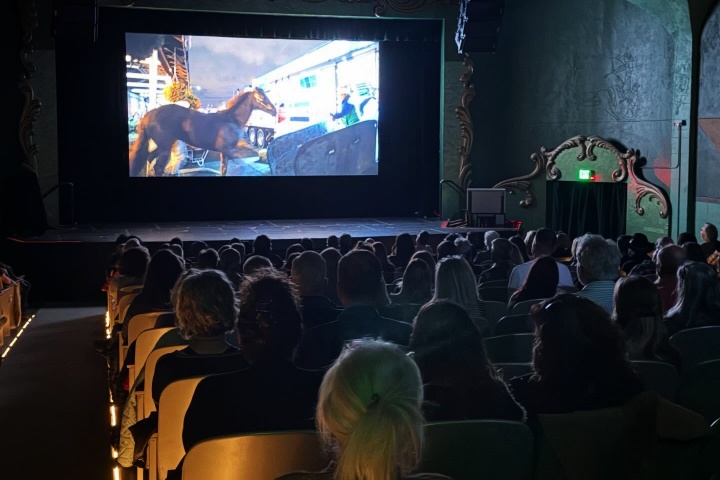 2. Proyección durante el Denver Film Festival 2025. Foto - @raulpazpastrana (Instagram)