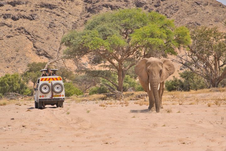 2. Safari por Damaraland. Foto - Gondwana Travel Agency