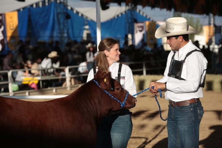3. Cabeza de ganado en el Rodeo Saltillo. Foto - Festival Rodeo Saltillo (Facebook)
