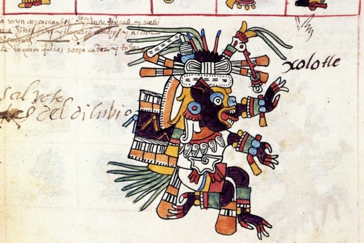 3. Códice del Perro Dios Xolotl. Foto . Gob MX