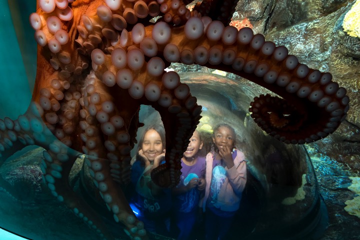 3. Niños en SeaWorld San Diego. Foto - Archivo ACG Tourism