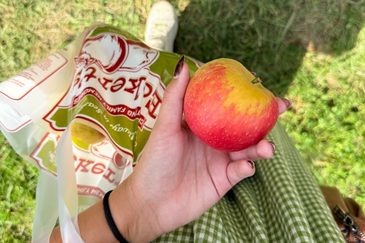 3. Recolección de manzanas en Eckert’s Country Store and Farm. Foto - @soulfullyalyssa (Instagram)