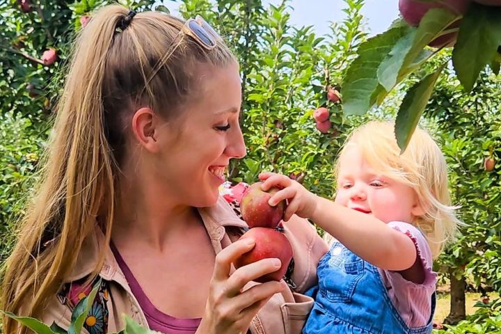 4. AppleFest. Foto - @eckertfarms (Instagram)