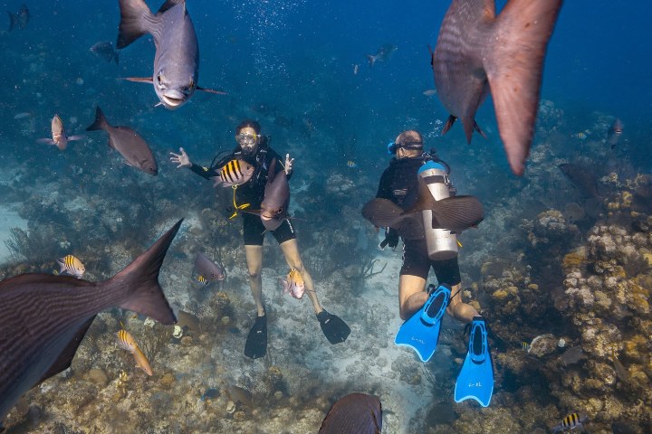 4. Buceo en Belice. Foto - Travel Belize (Facebook)