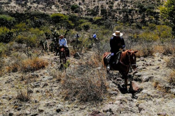 4. Cabalgata. Foto - @tirolesas_sma (Instagram)