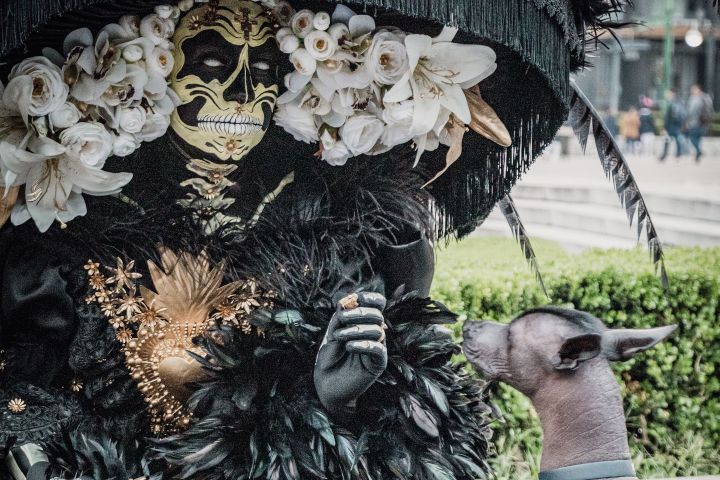 5. Catrina con xoloitzcuintle. Foto - 1 Javier Martinez (Pexels)