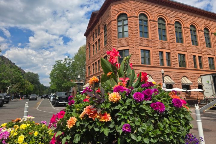5. Flores en Aspen. Foto - Julio García