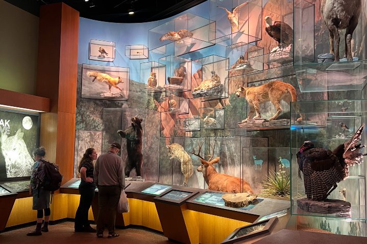 6. Visitantes en el Museo del Jardín de los Dioses. Foto - Garden of the Gods Visitor and Nature Center (Facebook)
