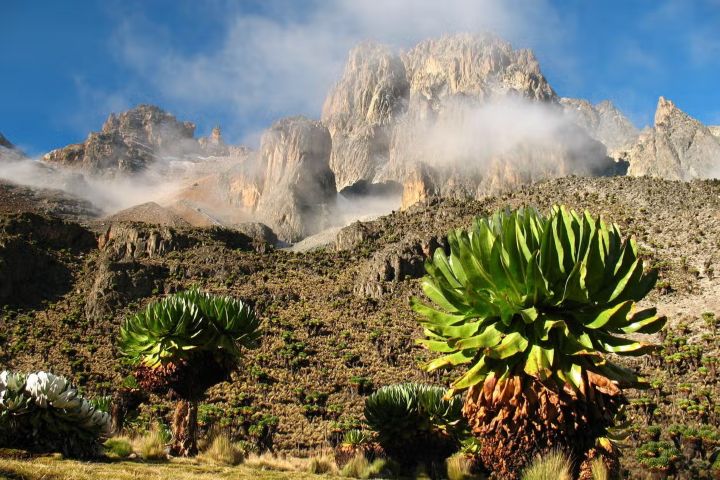 Monte Kenia. Foto - Civitatis (Cultura Cafetera)
