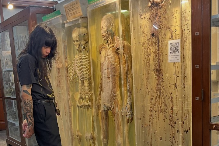 8. Visitante en el Museo Médico Siriraj. Foto - @funeralcramp (Instagram)