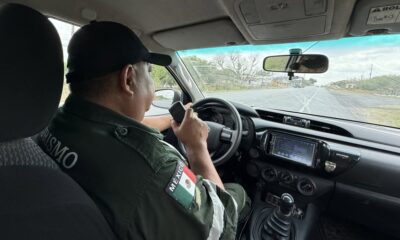 LOS ÁNGELES VERDES CUMPLEN 66 AÑOS. Foto - Gobierno del Estado de Tamaulipas