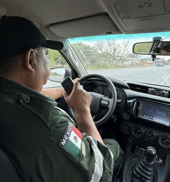 LOS ÁNGELES VERDES CUMPLEN 66 AÑOS. Foto - Gobierno del Estado de Tamaulipas