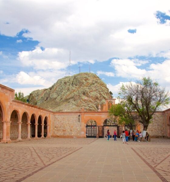 QUE HACER EN EL CERRO DE LA BUFA. Foto - Bufa Hill Tours (Expedia)