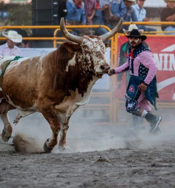 RODEO SALTILLO 2026. Foto - Festival Rodeo Saltillo (Facebook)