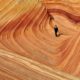 THE WAVE EN ARIZONA. Foto - nixon (Unsplash)