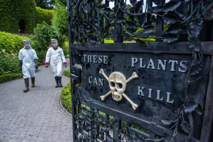 1. The Poison Garden. Foto - Alnwick Garden