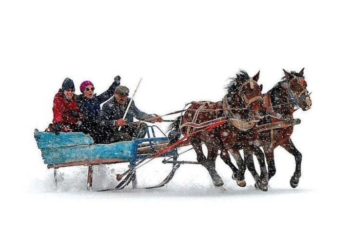 10. Paseo en trineo tirado por caballos. Foto - @kayakmerkezisarikamis (Instagram)