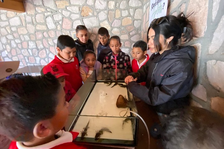 2. Actividad durante el Día Nacional del Ajolote en el Centro de Educación y Capacitación Ambiental. Foto - Parque Ecológico El Tecuán (Facebook)