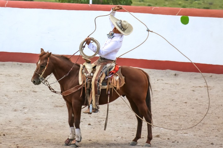 2. Charro. Foto - Anya Juárez Tenorio (Pexels)