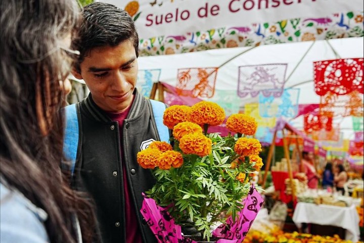 3. Festival de la Flor de Cempasúchil. Foto - @sedemacdmx (Instagram)