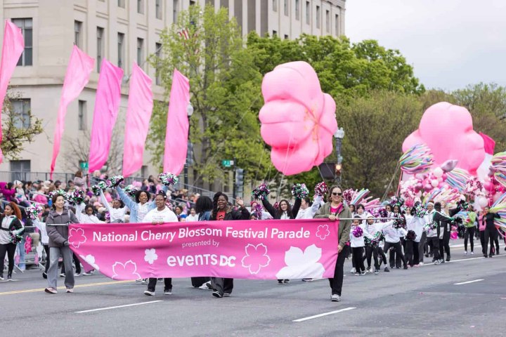 3. National Cherry Blossom Festival. Foto - National Cherry Blossom Festival