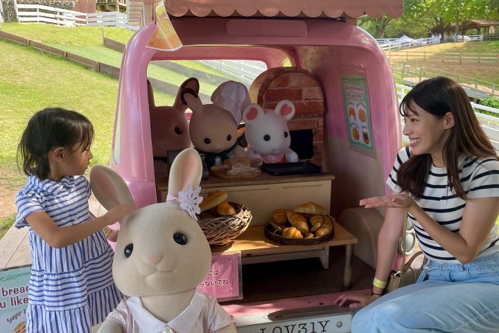 3. Visitantes en Sylvanian Park en Ibaraki. Foto - @yui_nikaido (Instagram)