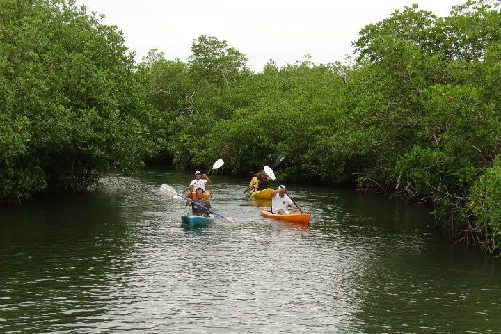 4. Kayak en el Estero del Rey. Foto - Marina San Blas Ecotours (Facebook)