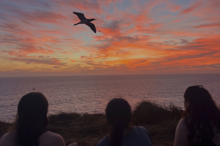 4. Viajeras en la Isla Isabel. Foto - @sartiaguin.sartiaguintours (Instagram)