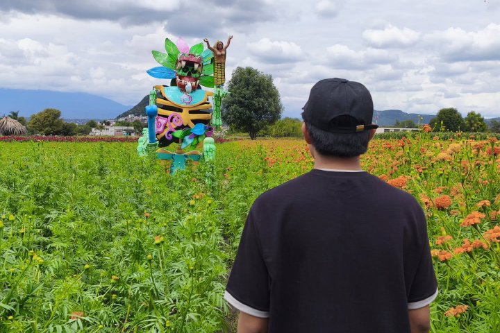 4. Visitante en campo de cempasúchil durante el Valle de Catrinas 2026. Foto - @mlg_reynolds (Instagram)