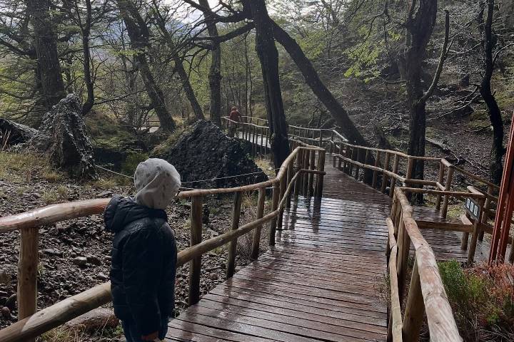 5. Viajero en sendero del Monumento Natural Cueva del Milodón. Foto - @brvvoid (Instagram)
