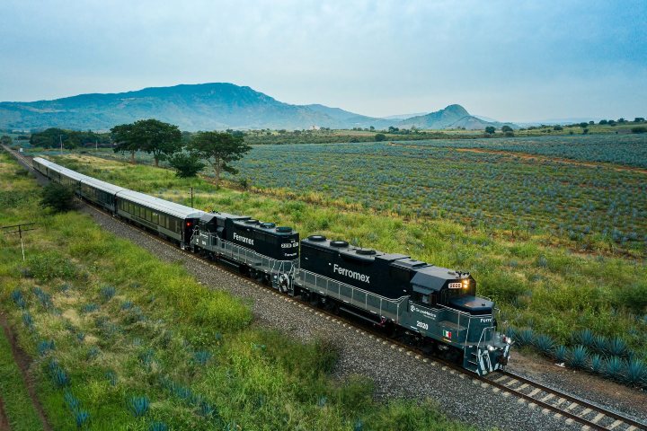 5. tequila Express. Foto - @tequilaexpress (Instagram)