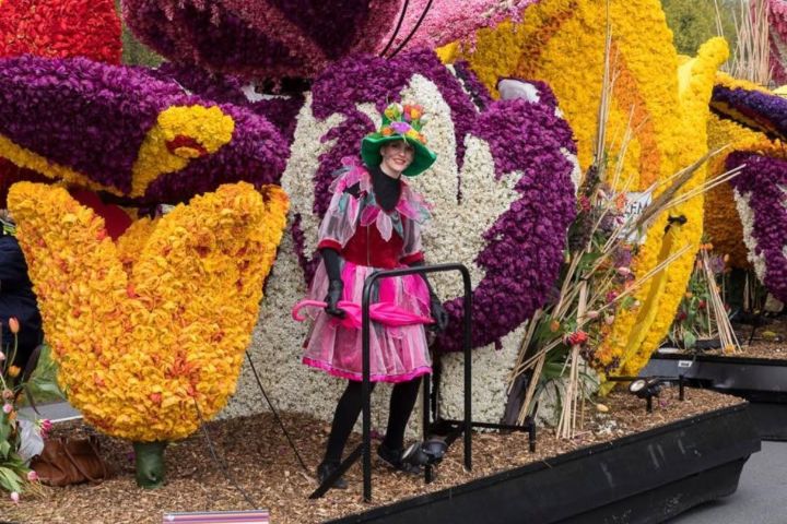 7. Carroza durante el Bloemencorso Bollenstreek. Foto - Bloemencorso Bollenstreek (Facebook)