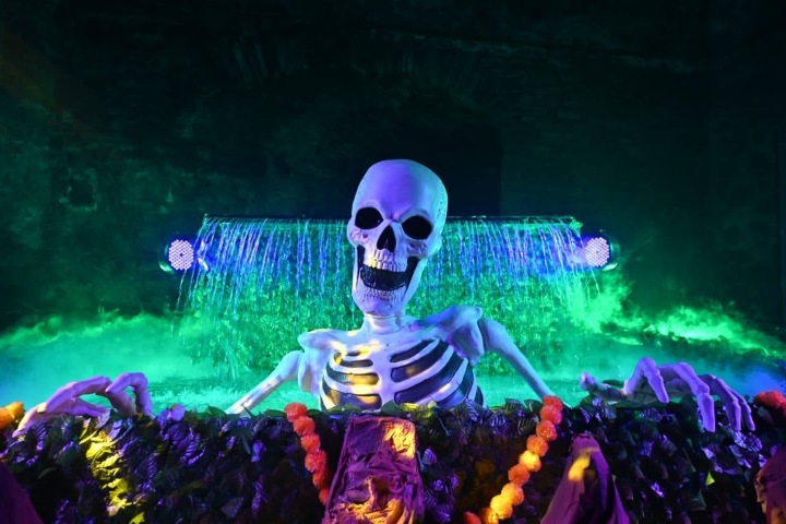 7. Decoración durante el Festival de Día de Muertos en Guanajuato Capital. Foto - Samantha Smith (Facebook)