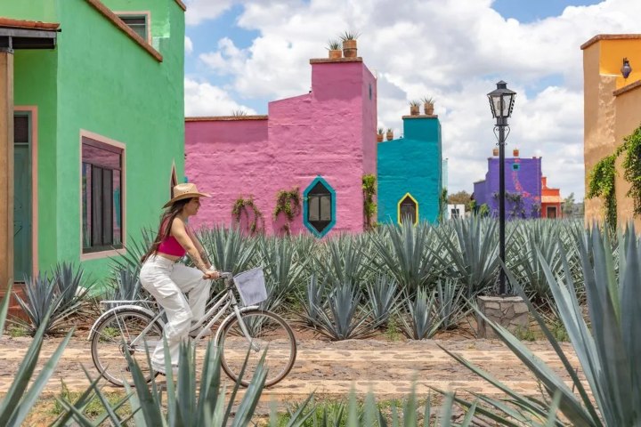 8. Tepatitlán de Morelos. Foto - Visit Jalisco