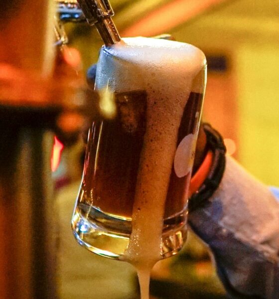 OKTOBERFEST CHECO-ESLOVACO 2026. Foto - Poojitha Prasad (Unsplash)