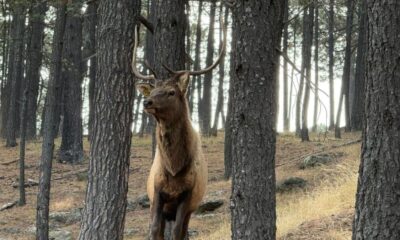 PARQUE ECOLÓGICO EL TECÚAN. Foto - Parque Ecológico El Tecuán (Facebook)